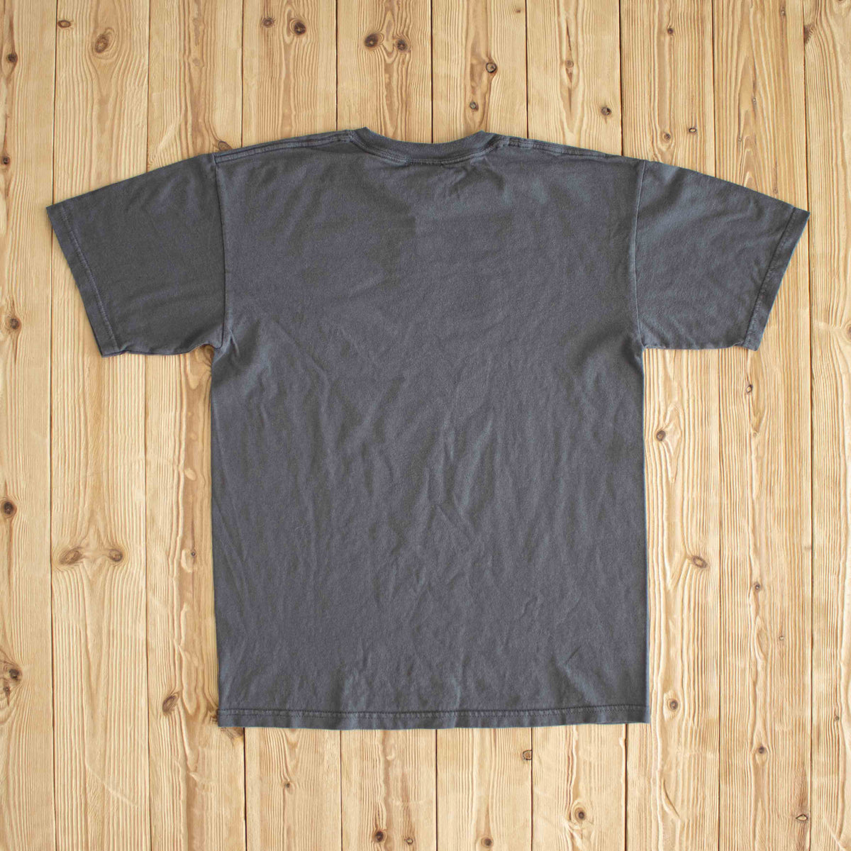 (M) 2005 Disney 'Where The Party Never Ends' Vintage T-Shirt Gray