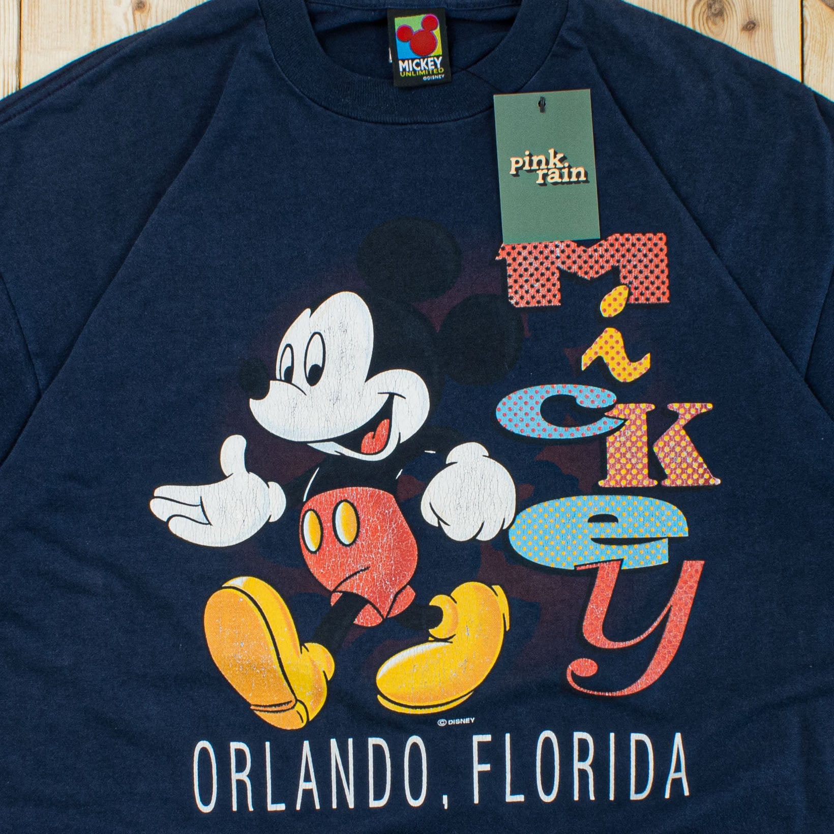 (L) Vintage Disney Orlando T-Shirt