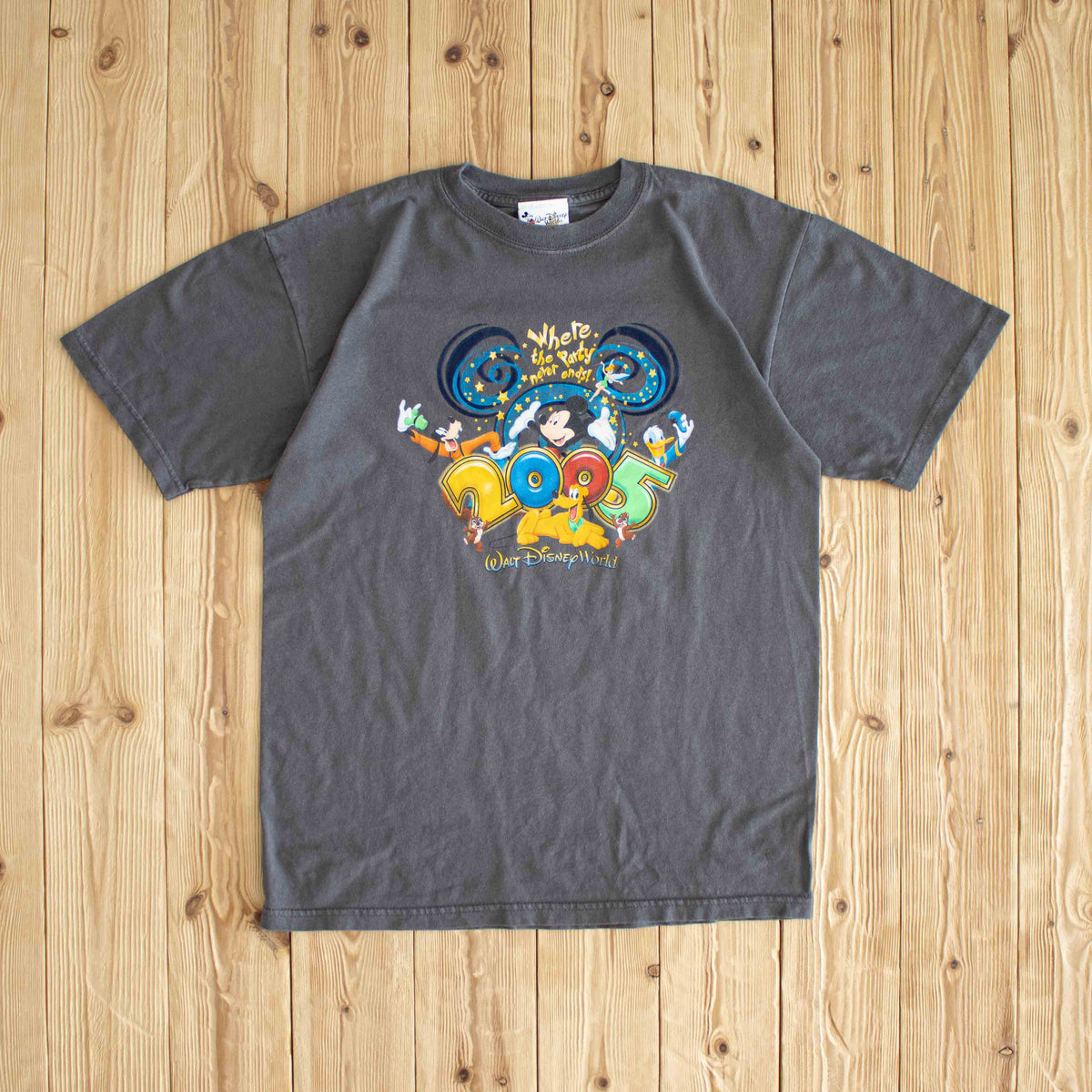 (M) 2005 Disney 'Where The Party Never Ends' Vintage T-Shirt Gray