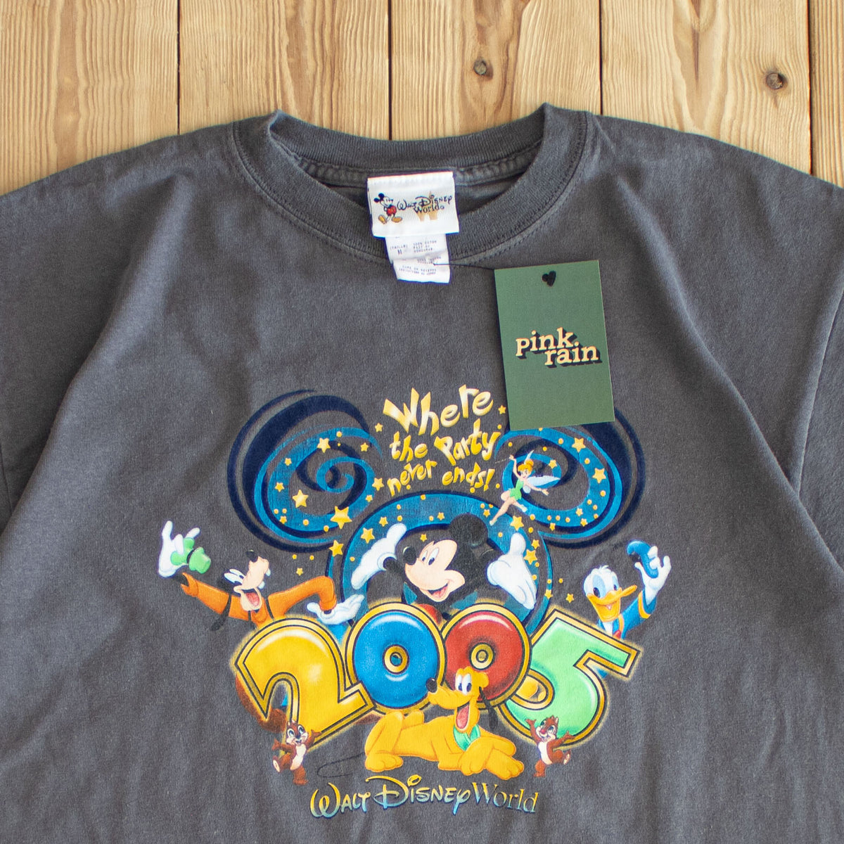 (M) 2005 Disney 'Where The Party Never Ends' Vintage T-Shirt Gray