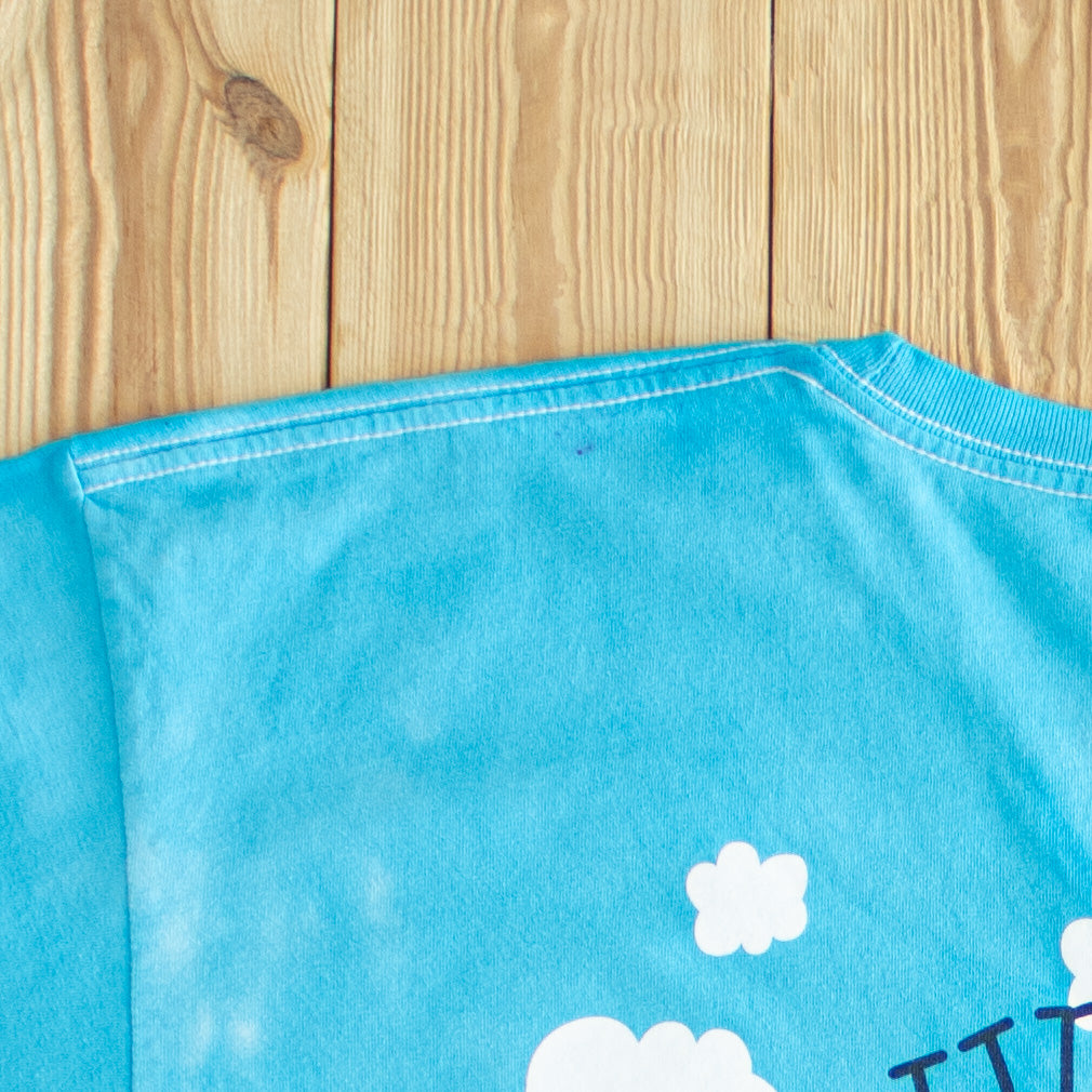 (L) Ben & Jerry's Euphoria Vintage T-Shirt Blue/Green
