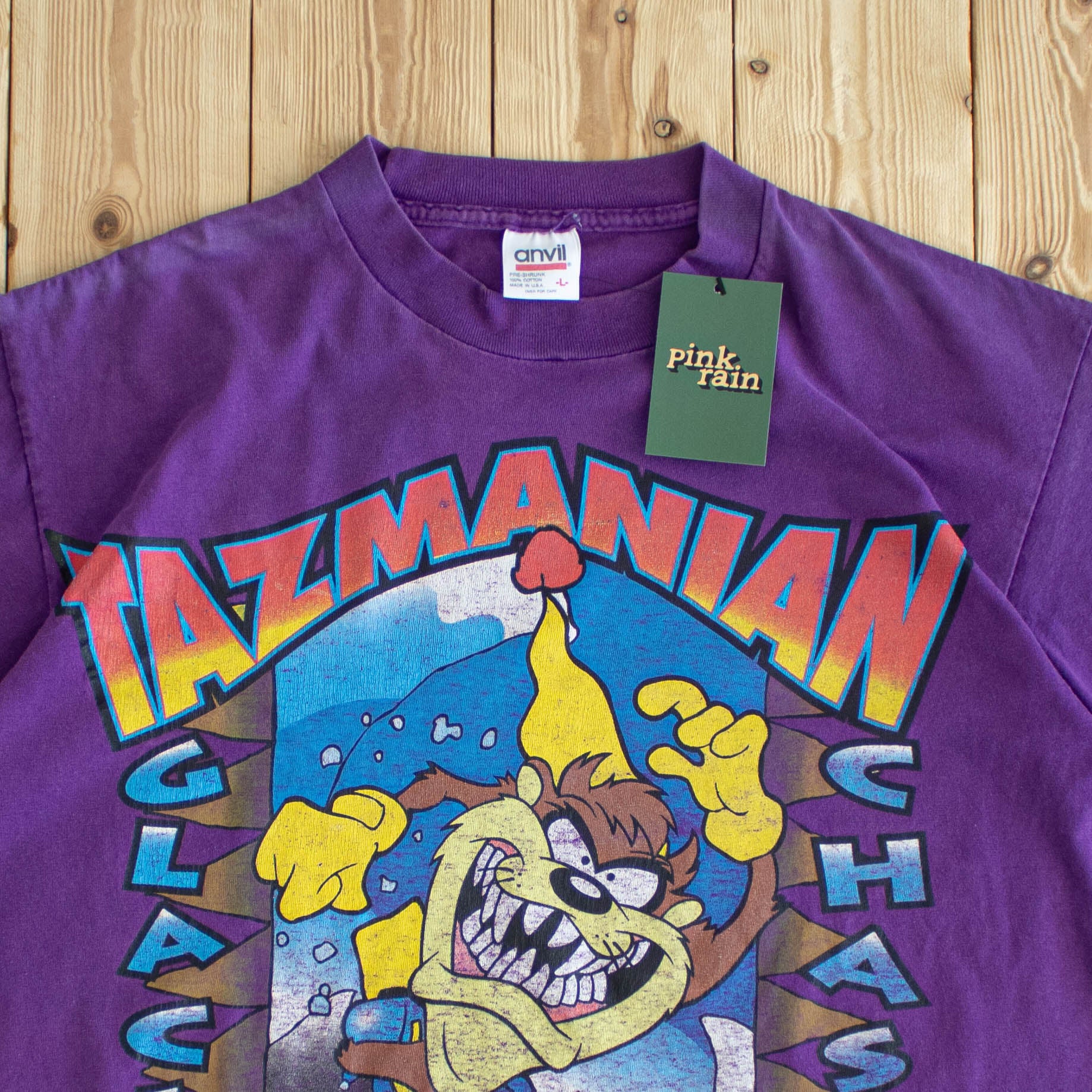 (M) Single Stitch Tazmanian Devil Glacier Chaser Vintage T-Shirt Purple